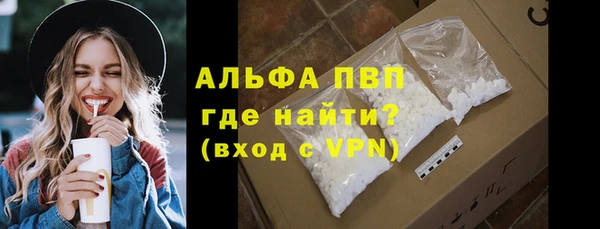 твердый Инсар