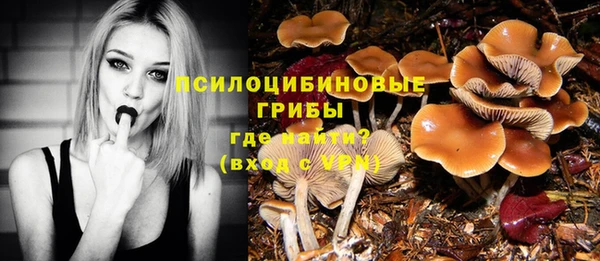 2c-b Алзамай