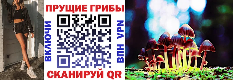 Галлюциногенные грибы мухоморы  Духовщина 